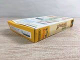 Yoshi no Road Hunting Yoshi's Safari Boxed Super Famicom SNES Japan - UF6970