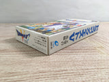 Dragon Quest V 5 Boxed Nintendo Super Famicom SNES Japan - UF6971
