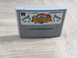 Hanjuku Hero Boxed Nintendo Super Famicom SNES Japan - UF6979