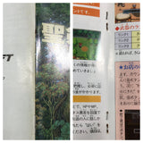 Seiken Densetsu 2 Secret of Mana Boxed Super Famicom SNES Japan - UF6982