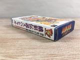 Fatal Fury Special Boxed Nintendo Super Famicom SNES Japan - UF7002
