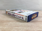 Fatal Fury Special Boxed Nintendo Super Famicom SNES Japan - UF7002