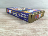 Yu Yu Hakusho 2 Boxed Nintendo Super Famicom SNES Japan - UF7006
