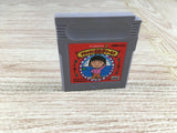 Chibi Maruko chan Deluxe Maruko World Boxed Nintendo GameBoy Japan - UF7061