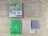 Pokemon Green Boxed Nintendo GameBoy Japan - UF7065