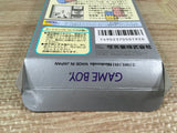 Tetris Flash Boxed Nintendo GameBoy Japan - UF7067