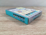 Tetris Flash Boxed Nintendo GameBoy Japan - UF7067