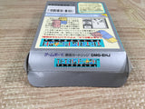 Tetris Flash Boxed Nintendo GameBoy Japan - UF7067