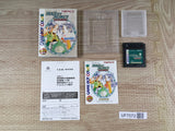 Tales of the World Narikiri Dungeon 2 Boxed Nintendo GameBoy Japan - UF7072