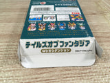 Tales of the World Narikiri Dungeon 2 Boxed Nintendo GameBoy Japan - UF7072