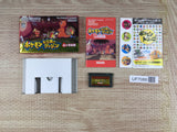 Pokemon Mystery Dungeon Red Rescue Team Boxed GameBoy Advance Japan - UF7088