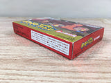 Pokemon Mystery Dungeon Red Rescue Team Boxed GameBoy Advance Japan - UF7088