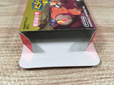Pokemon Mystery Dungeon Red Rescue Team Boxed GameBoy Advance Japan - UF7088