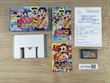 Ganbare! Dodge Fighters Boxed Nintendo GameBoy Advance Japan - UF7094