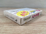 Kirby Kirby's Adventure Boxed Nintendo Famicom NES Japan - UF7101