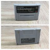 Wizardry V 5 Boxed Nintendo Super Famicom SNES Japan - UF7135