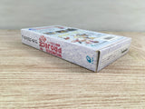 Wonder Project J Kikai no Shounen Pino Boxed Super Famicom SNES Japan - UF7148