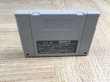 Power Pro Wrestling 96 Max Voltage Boxed Super Famicom SNES Japan - UF7167