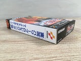 Power Pro Wrestling 96 Max Voltage Boxed Super Famicom SNES Japan - UF7167