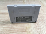 Nakajima Satoru Kanshuu F1 Hero 94 Boxed Super Famicom SNES Japan - UF7169