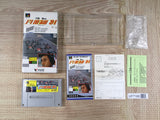 Nakajima Satoru Kanshuu F1 Hero 94 Boxed Super Famicom SNES Japan - UF7169