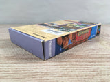 Wild Trax Stunt Race FX Boxed Nintendo Super Famicom SNES Japan - UF7170