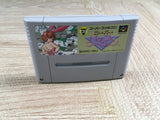 Super Pachi Slot Mahjong Boxed Nintendo Super Famicom SNES Japan - UF7179