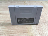 Kachou Shima Kousaku Boxed Nintendo Super Famicom SNES Japan - UF7180