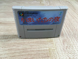 Banshee's Last Cry Kamaitachi no Yoru Boxed Super Famicom SNES Japan - UF7181