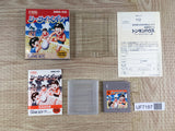 Sea Side Valley Ball Boxed Nintendo GameBoy Japan - UF7187