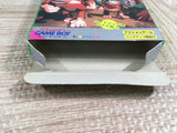 Super Donkey Kong GB Boxed Nintendo GameBoy Japan - UF7188