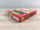 TanimuraHitoshiRyuu PachinkoKouryaku Don Quixote Boxed GameBoy Japan - UF7192