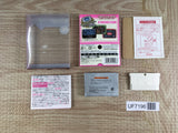 Clu Clu Land Boxed Nintendo GameBoy Advance Japan - UF7196