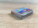 Clu Clu Land Boxed Nintendo GameBoy Advance Japan - UF7196