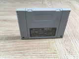 Silva Saga 2 Boxed Super Famicom SNES Japan - UF7228