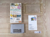 Silva Saga 2 Boxed Super Famicom SNES Japan - UF7228