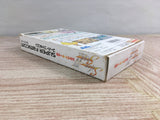 Silva Saga 2 Boxed Super Famicom SNES Japan - UF7228