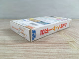 Silva Saga 2 Boxed Super Famicom SNES Japan - UF7228