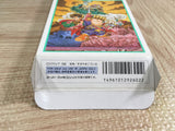 Hanjuku Hero Boxed Nintendo Super Famicom SNES Japan - UF7230