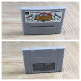 Hanjuku Hero Boxed Nintendo Super Famicom SNES Japan - UF7230