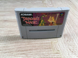 Dragon's Magic Lair Boxed Nintendo Super Famicom SNES Japan - UF7241