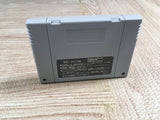 Dragon's Magic Lair Boxed Nintendo Super Famicom SNES Japan - UF7241