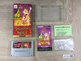 Dragon's Magic Lair Boxed Nintendo Super Famicom SNES Japan - UF7241