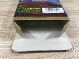 Dragon's Magic Lair Boxed Nintendo Super Famicom SNES Japan - UF7241