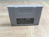Theme Park Boxed Nintendo Super Famicom SNES Japan - UF7243