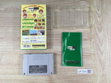 Theme Park Boxed Nintendo Super Famicom SNES Japan - UF7243