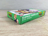 Dragon Ball Z Super Butouden 3 Boxed Nintendo Super Famicom SNES Japan - UF7249