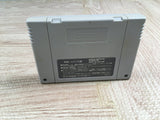 Fatal Fury Special Boxed Nintendo Super Famicom SNES Japan - UF7253
