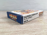 Fatal Fury Special Boxed Nintendo Super Famicom SNES Japan - UF7253