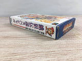 Fatal Fury Special Boxed Nintendo Super Famicom SNES Japan - UF7253